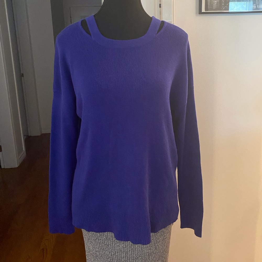 NWT Chelsea & Theodore Sweater